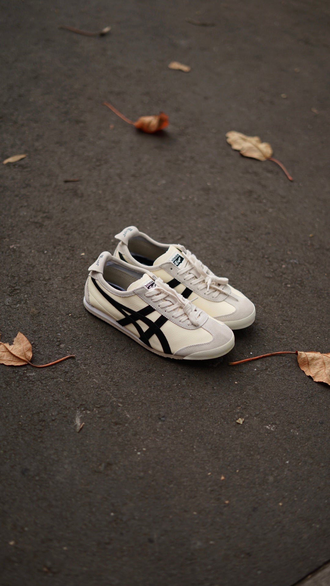 Asicis tiger beige