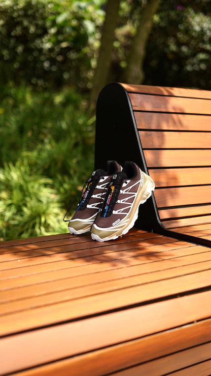 Salomon xt 6 cafe