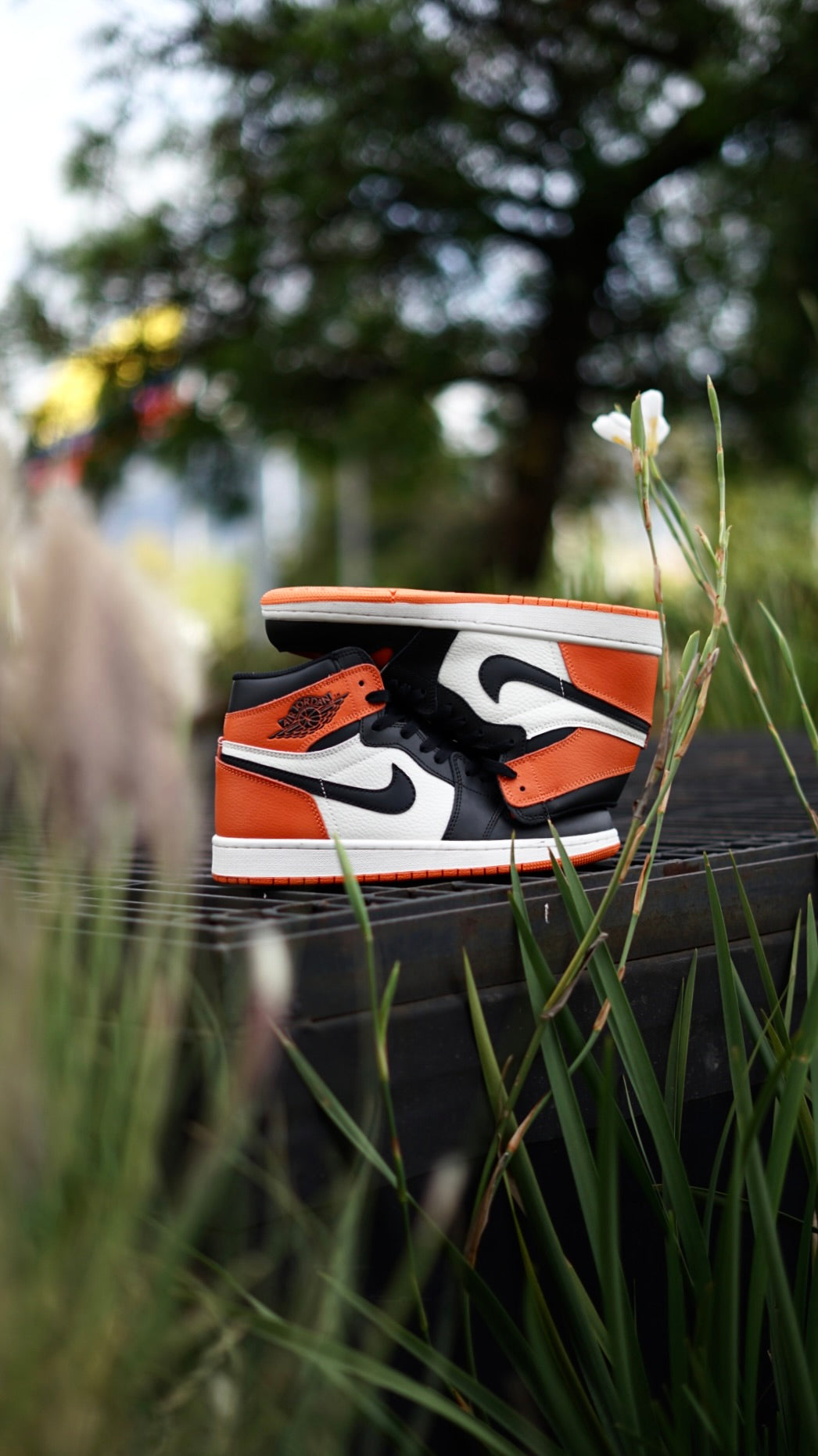 Jordan R1 Naranja