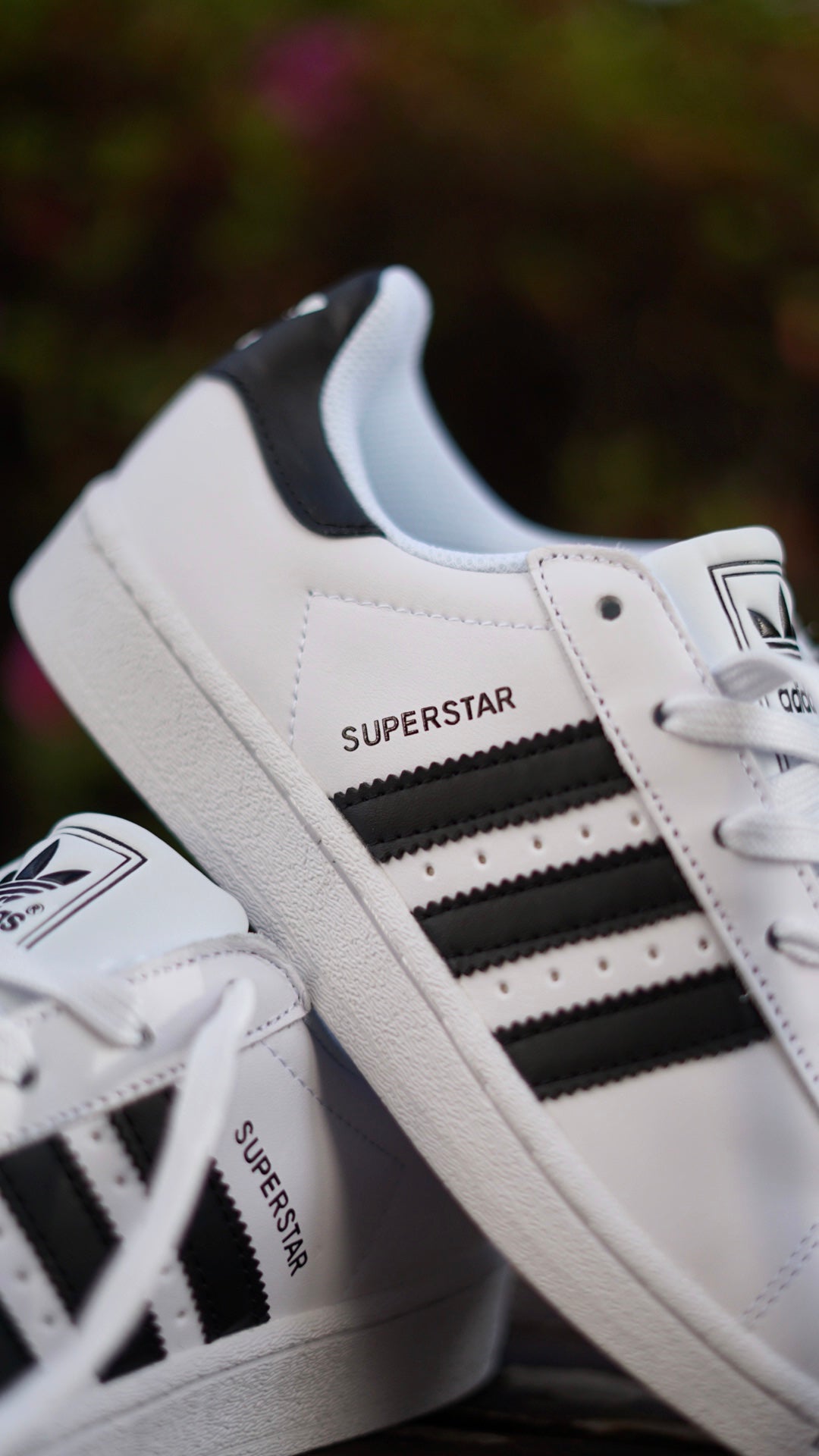 Super Star Blanca