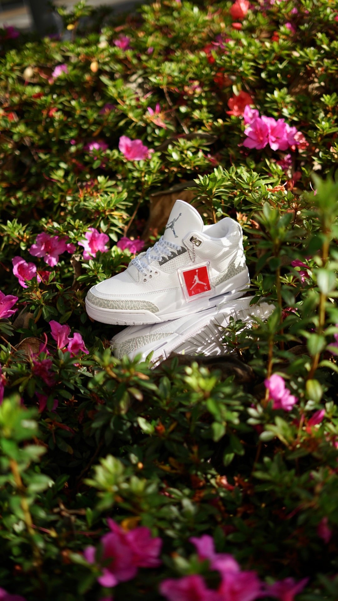 Air Jordan Retro 3 Blanca Gris