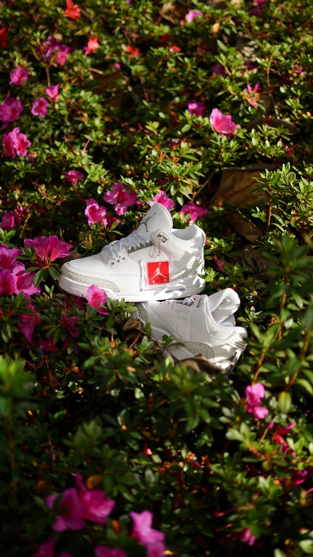 Air Jordan Retro 3 Blanca Gris