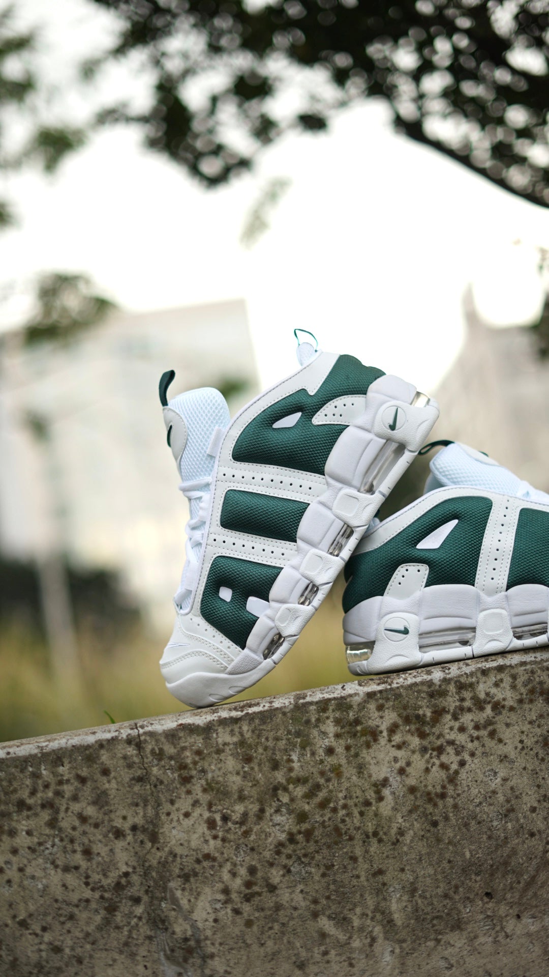 Nike Uptempo blanca verde