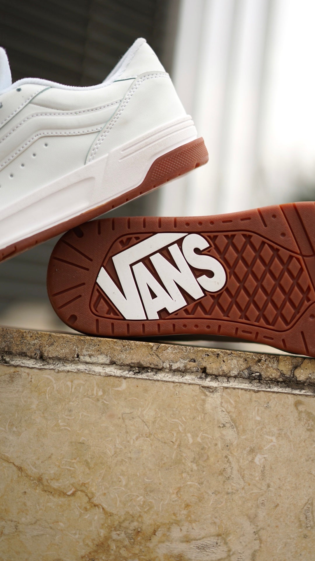 Vans hylane blanca
