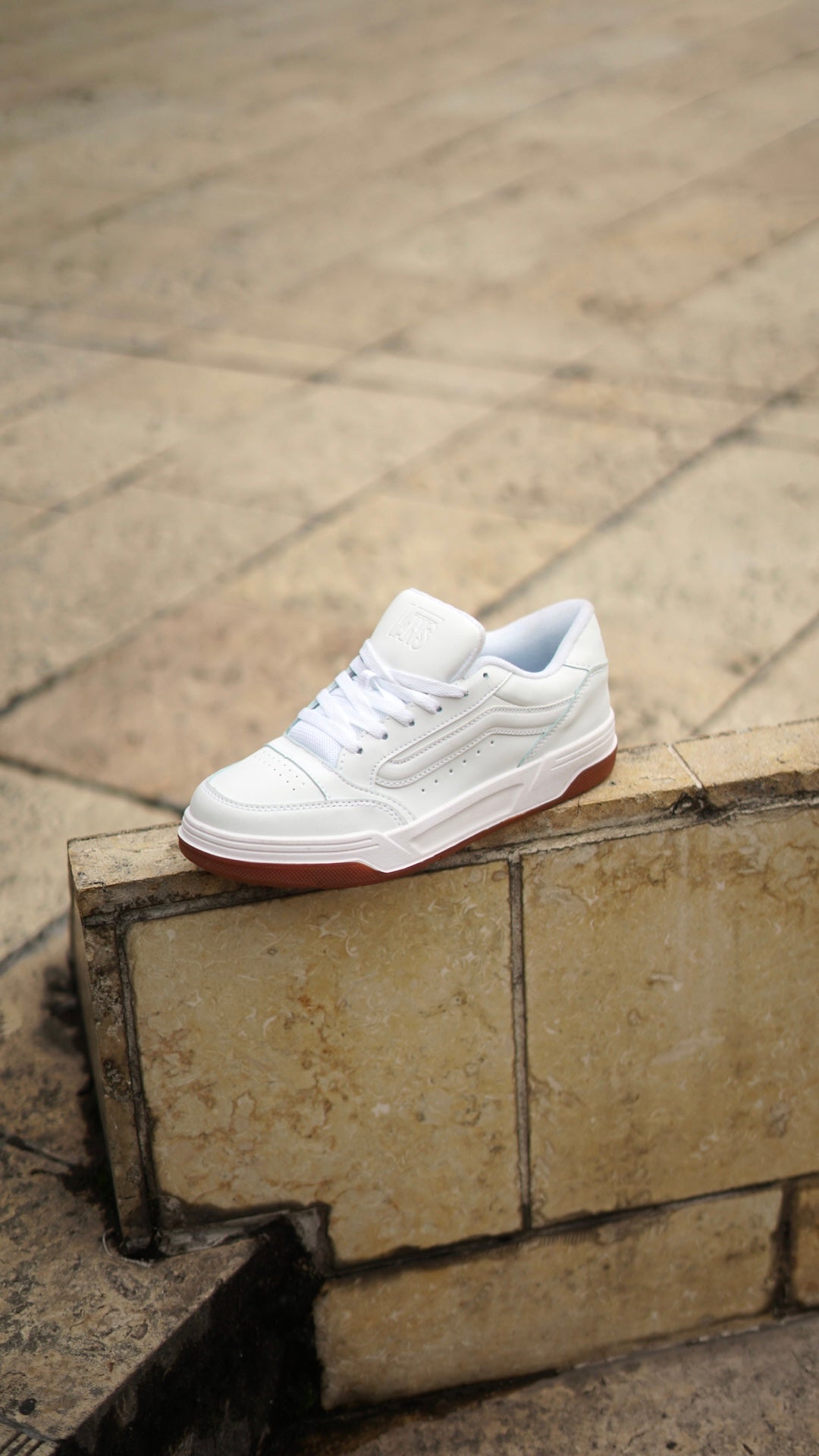 Vans hylane blanca