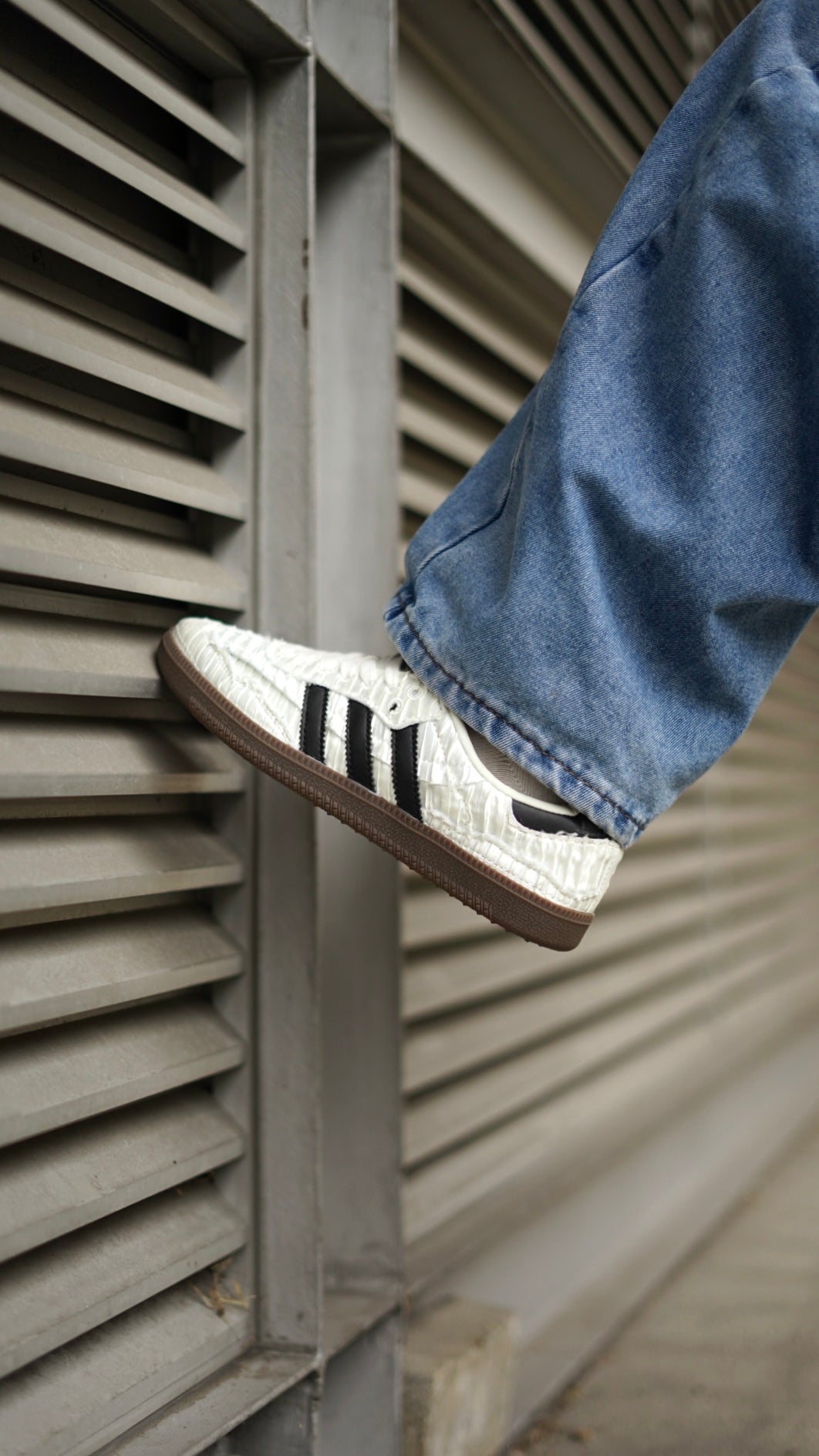 Adidas samba reverie caroline