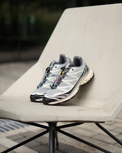Salomon XT6 gris