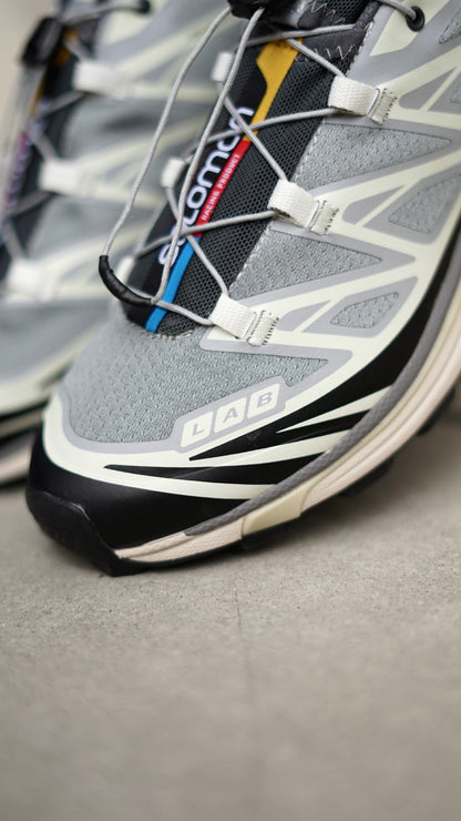Salomon XT6 gris