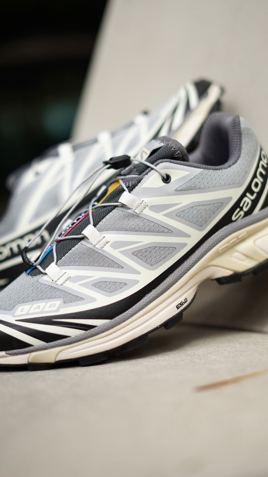 Salomon XT6 gris