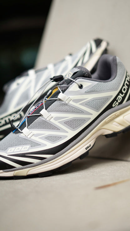 Salomon XT6 gris