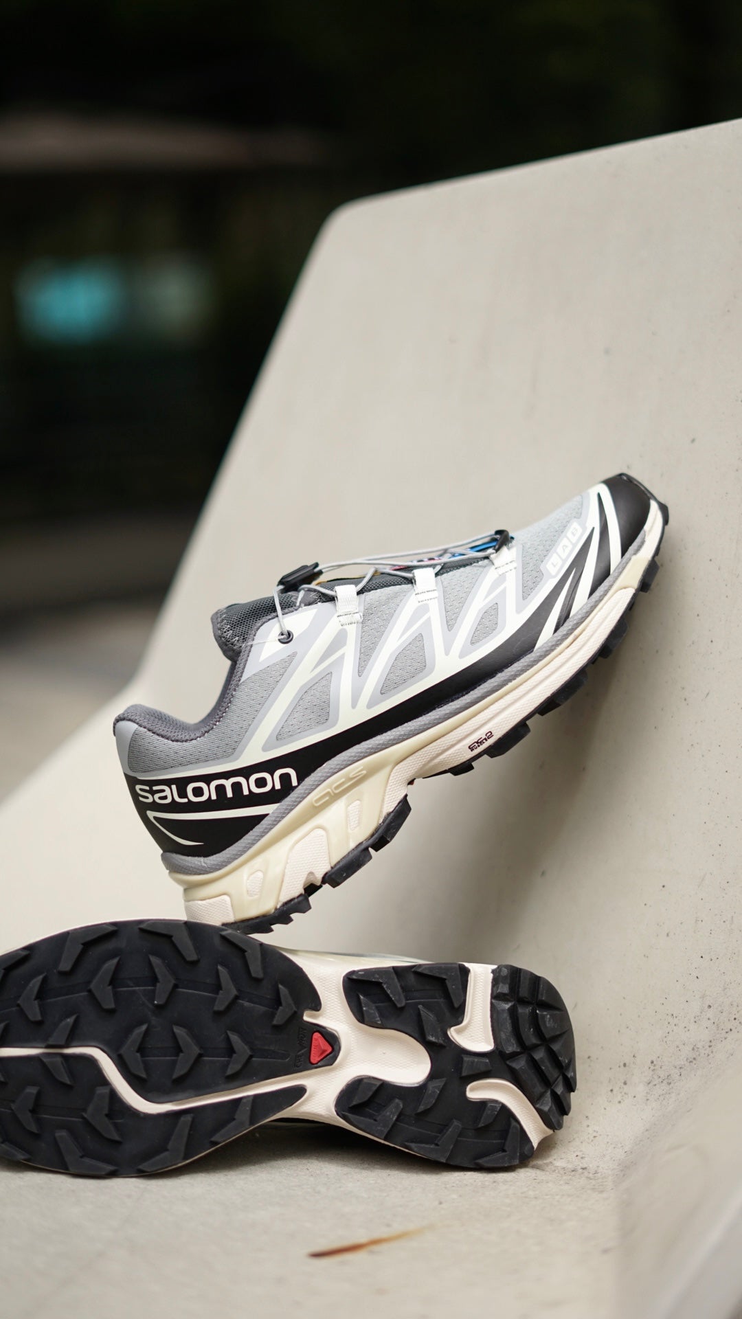 Salomon XT6 gris