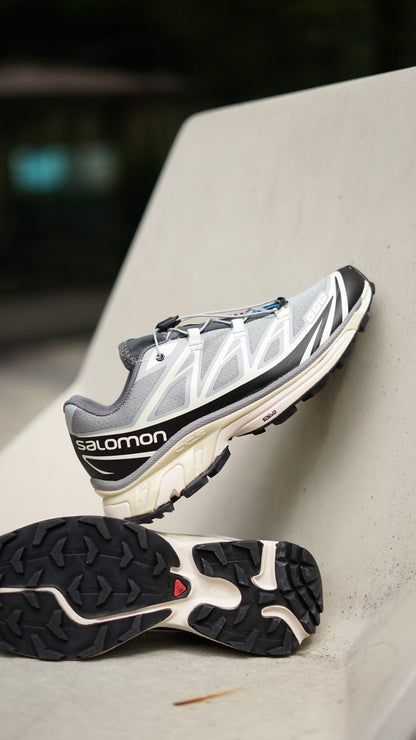 Salomon XT6 gris