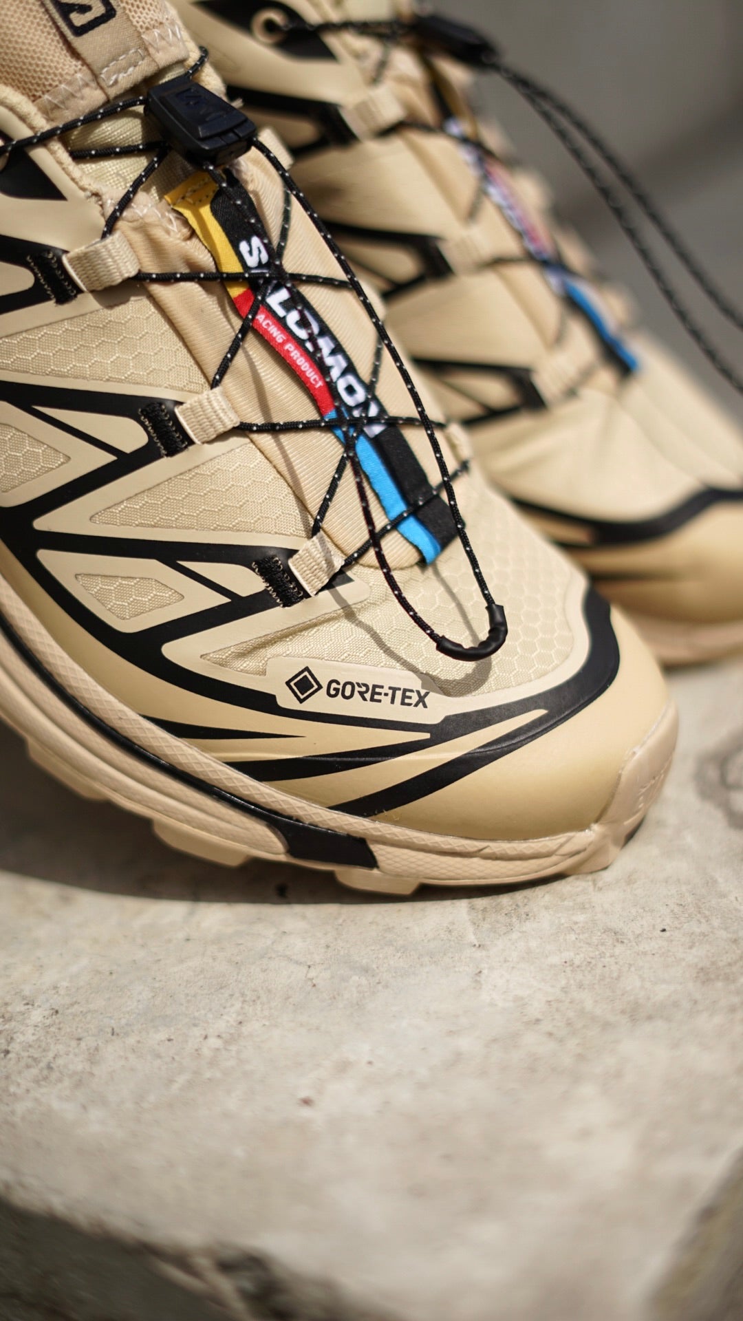 Salomon goretex beige