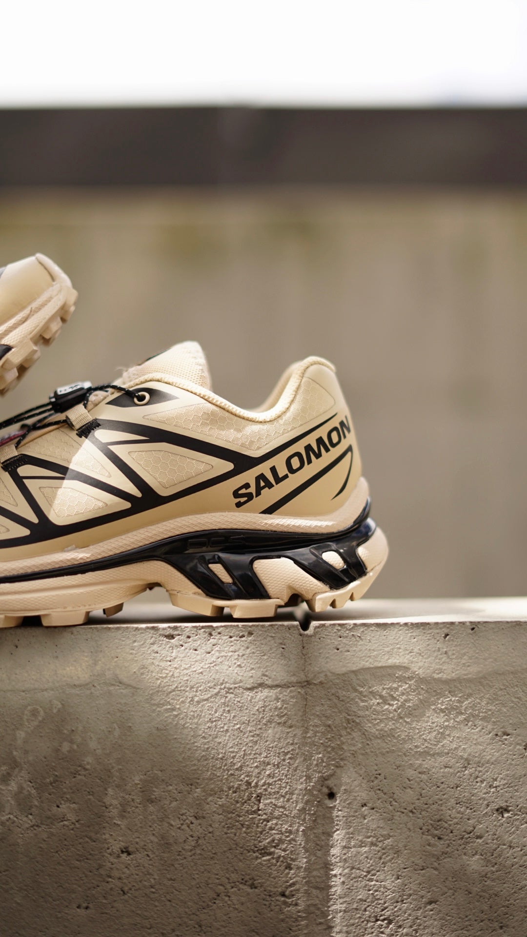 Salomon goretex beige