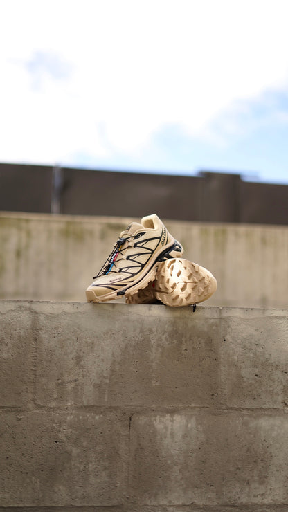 Salomon goretex beige