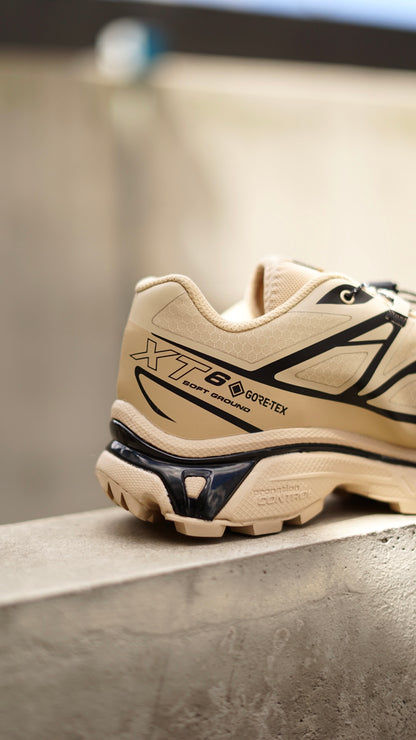 Salomon goretex beige