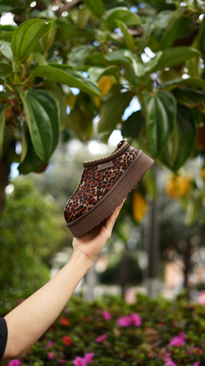 Ugg animal