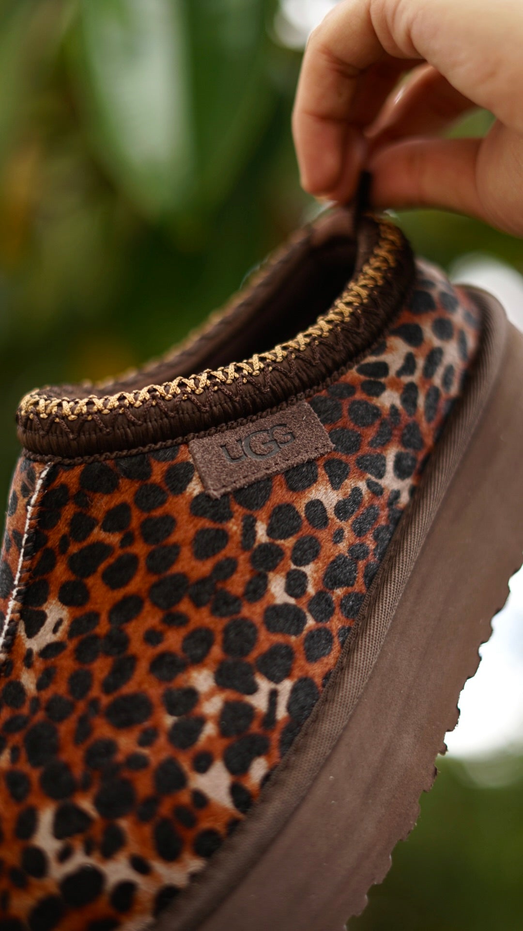 Ugg animal