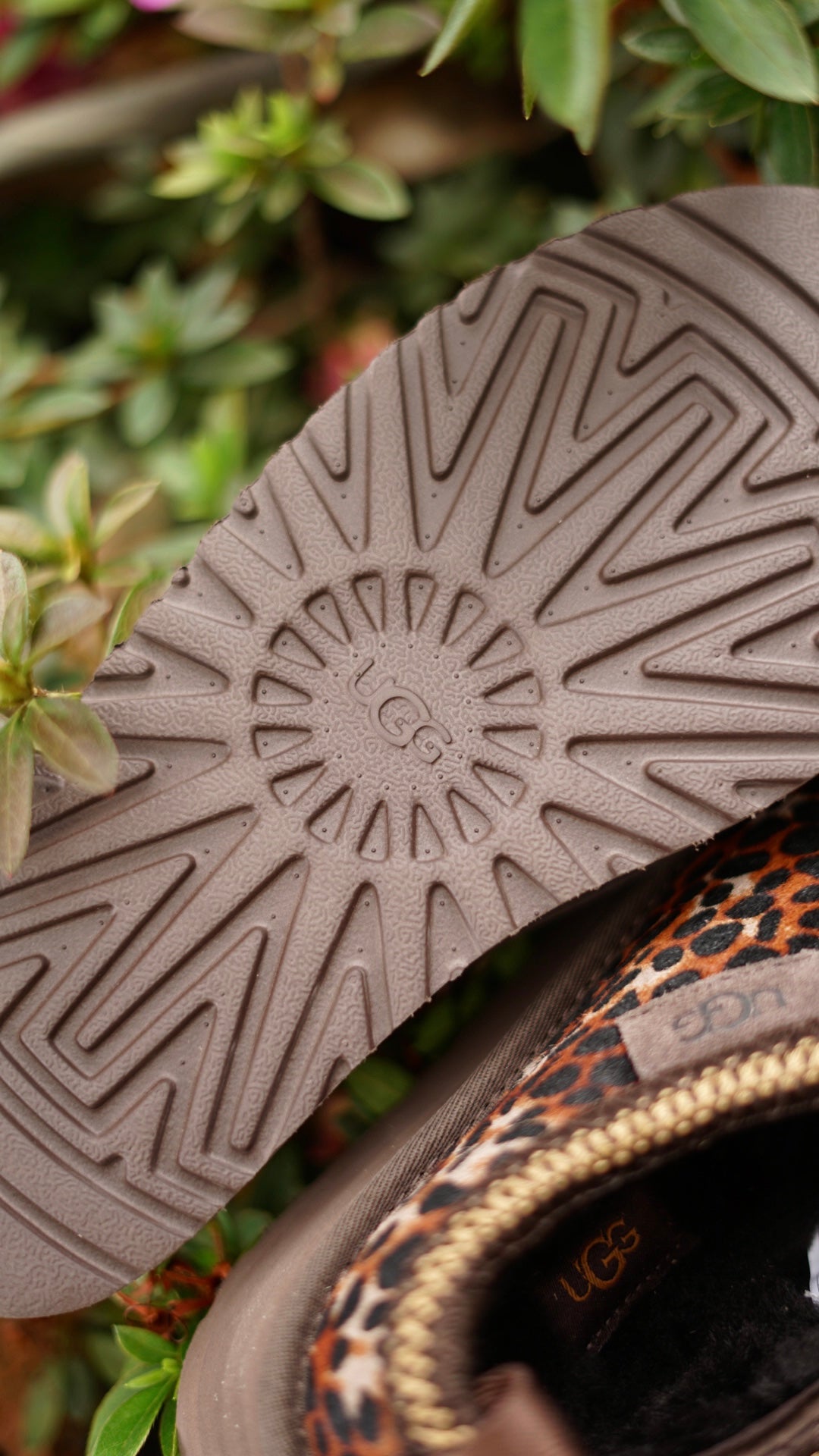 Ugg animal