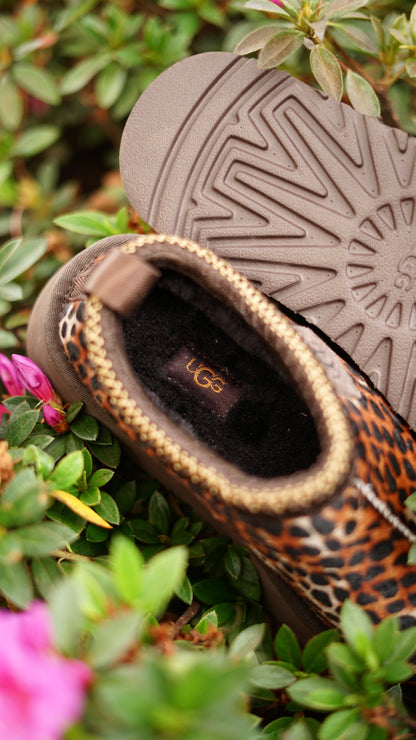 Ugg animal
