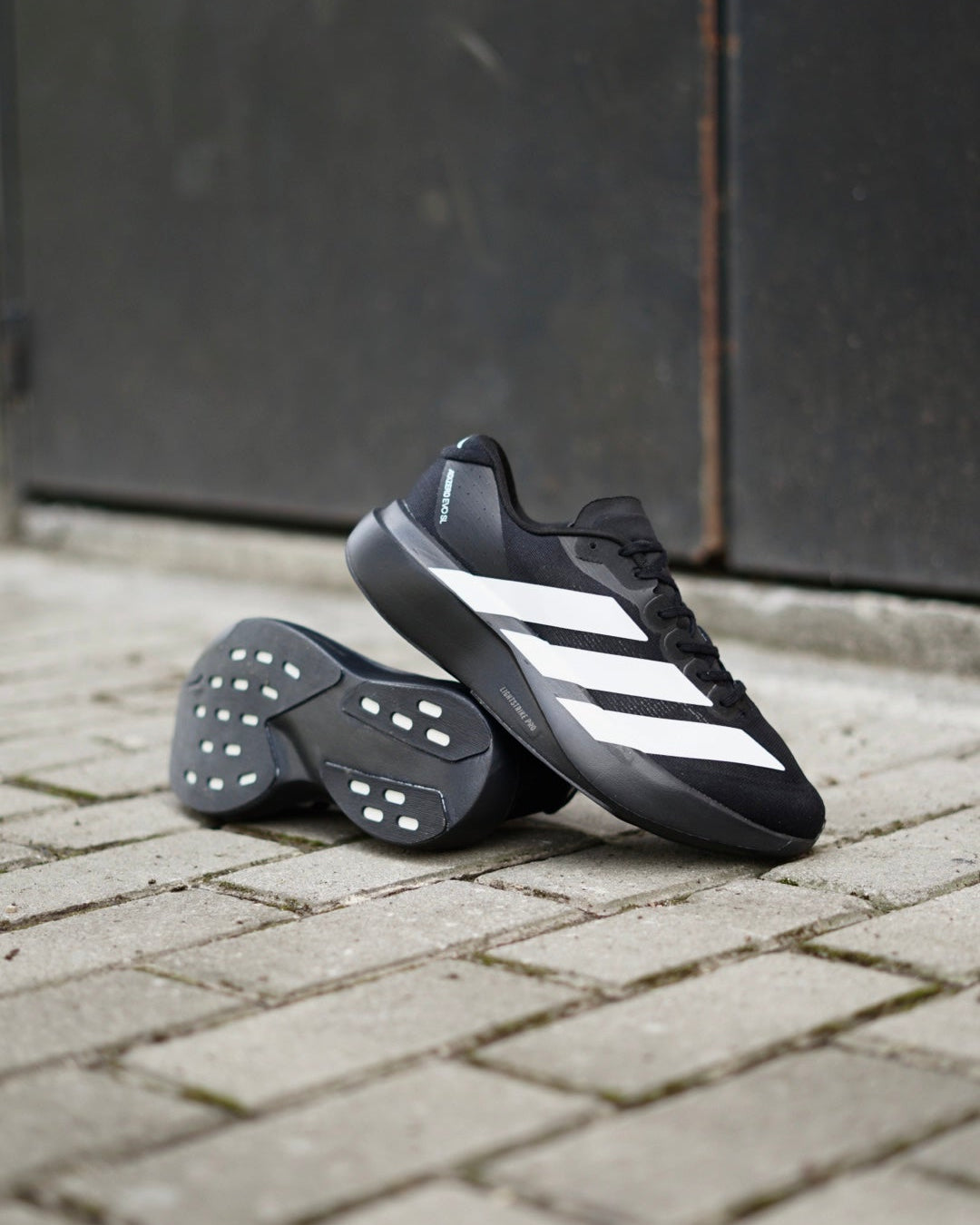 Adidas adizero negra evo SL