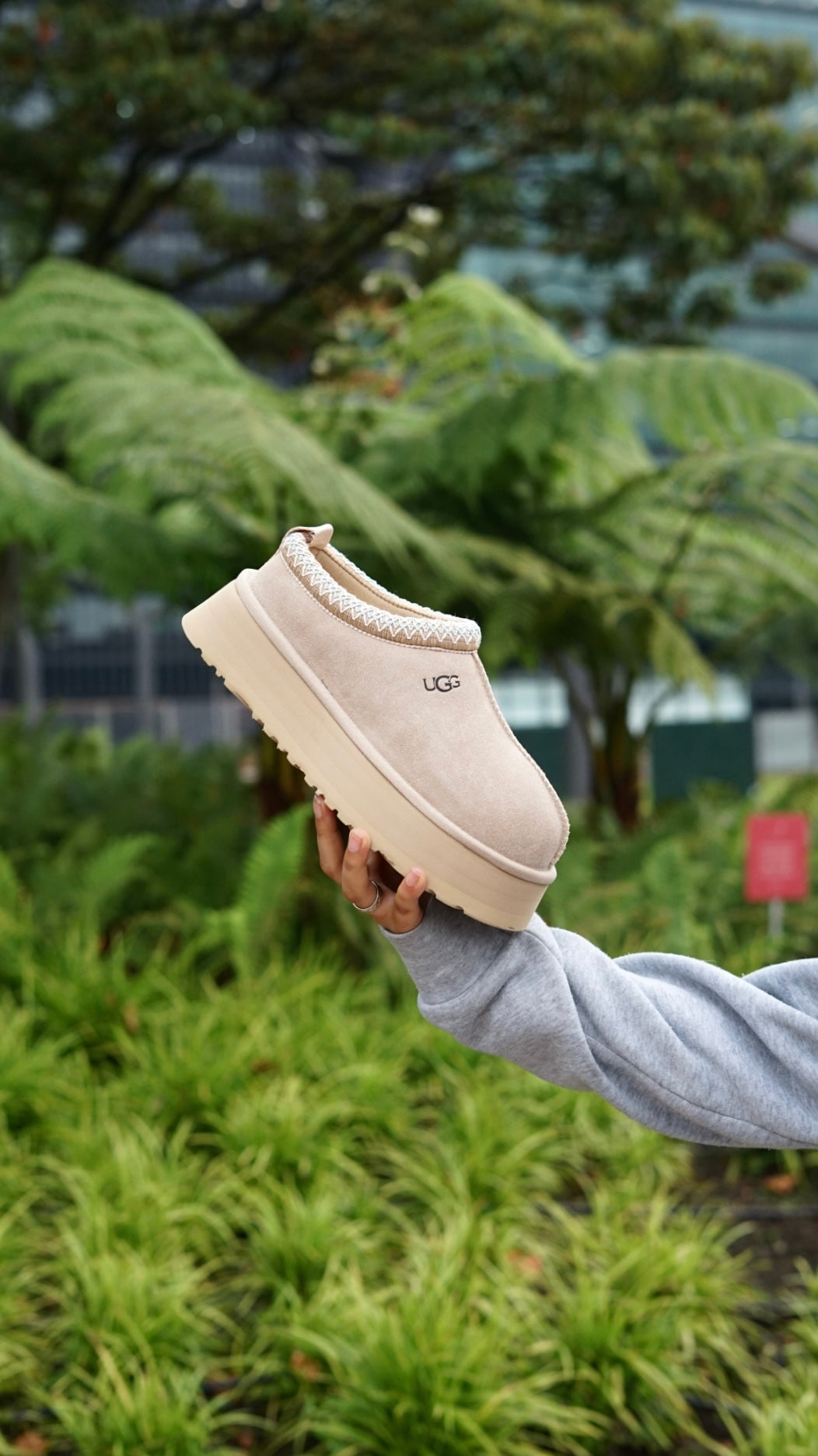 UGG tazz slipper beige