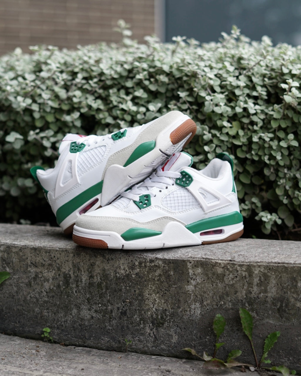 Air Jordan Retro 4 Sb Blanco-Verde