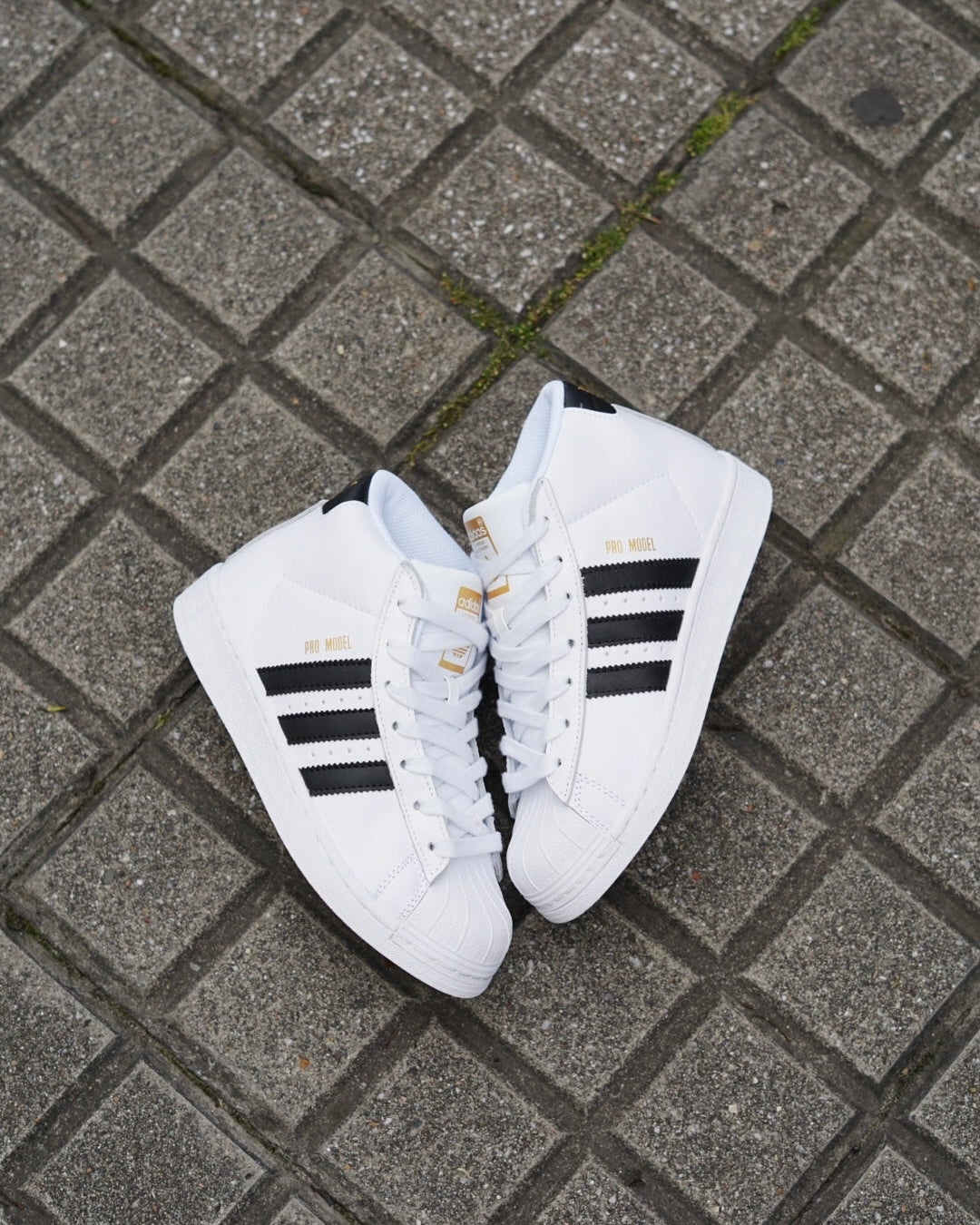 Adidas superstar en bota