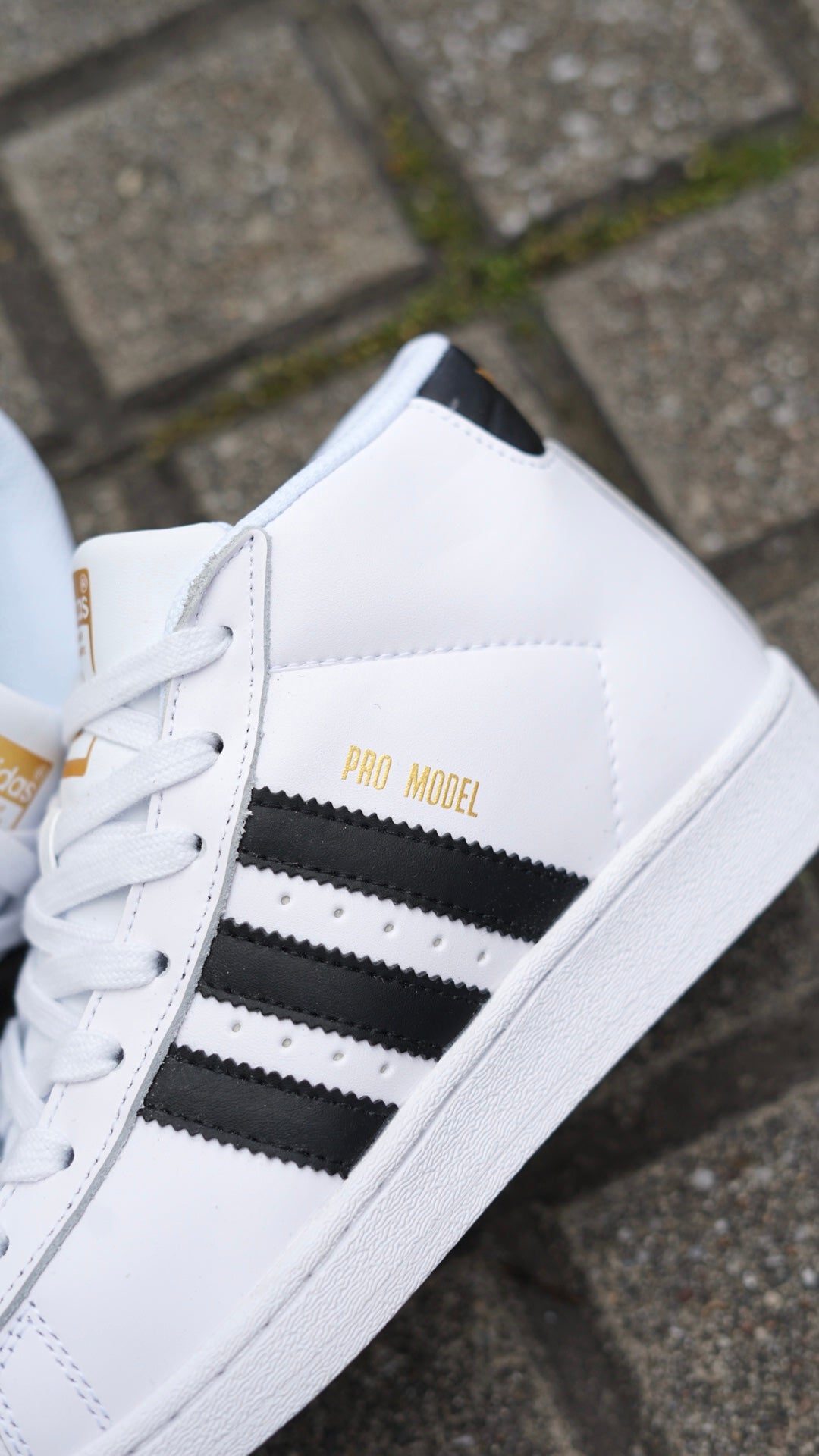 Adidas superstar en bota