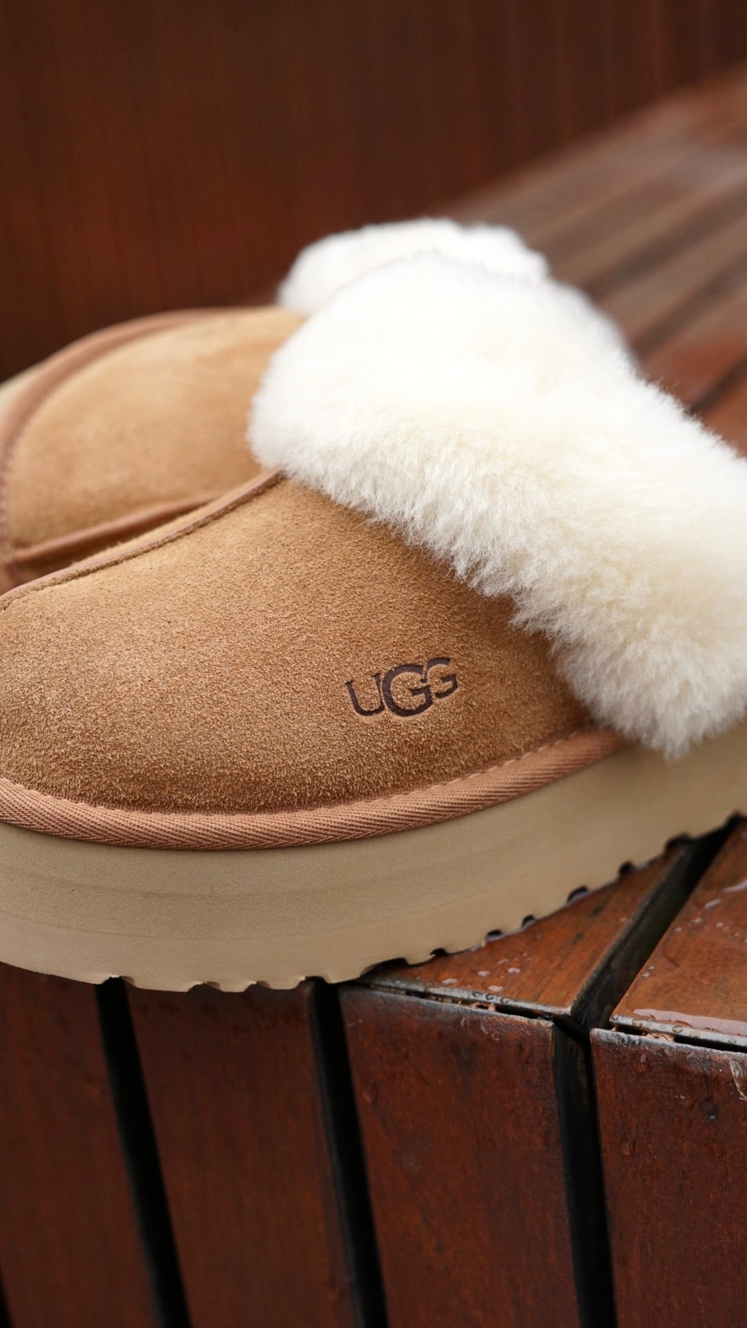 UGG disquette cafe