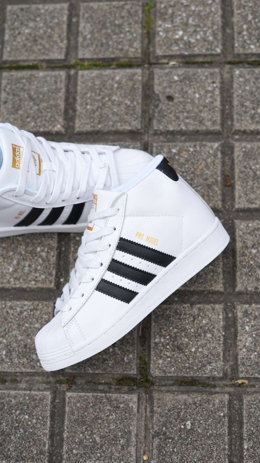 Adidas superstar en bota