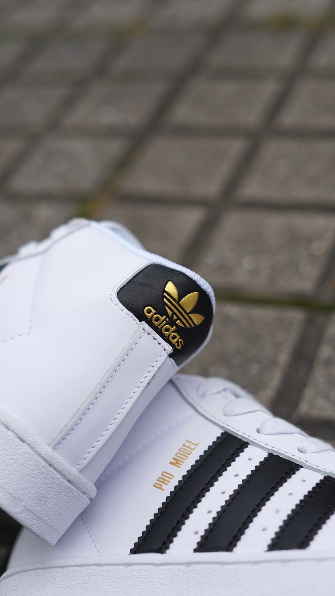 Adidas superstar en bota