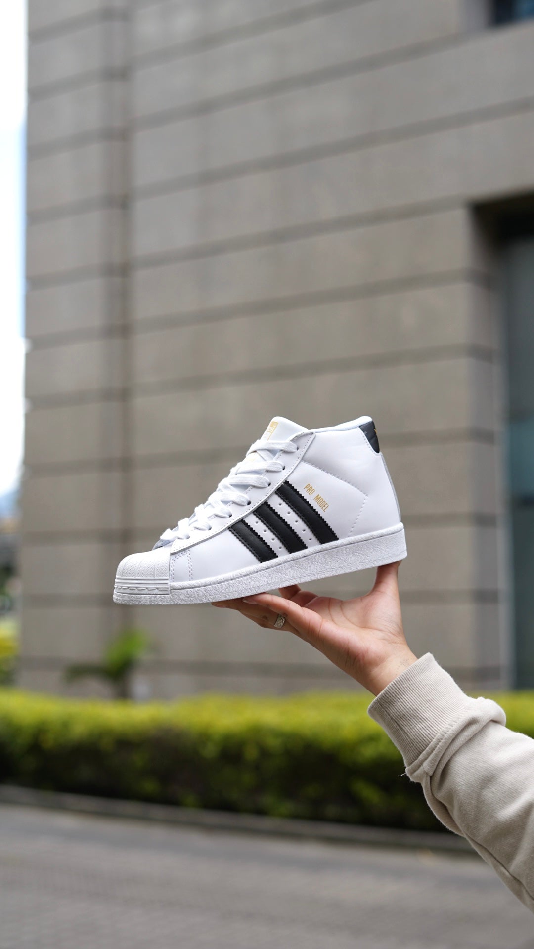 Adidas superstar en bota
