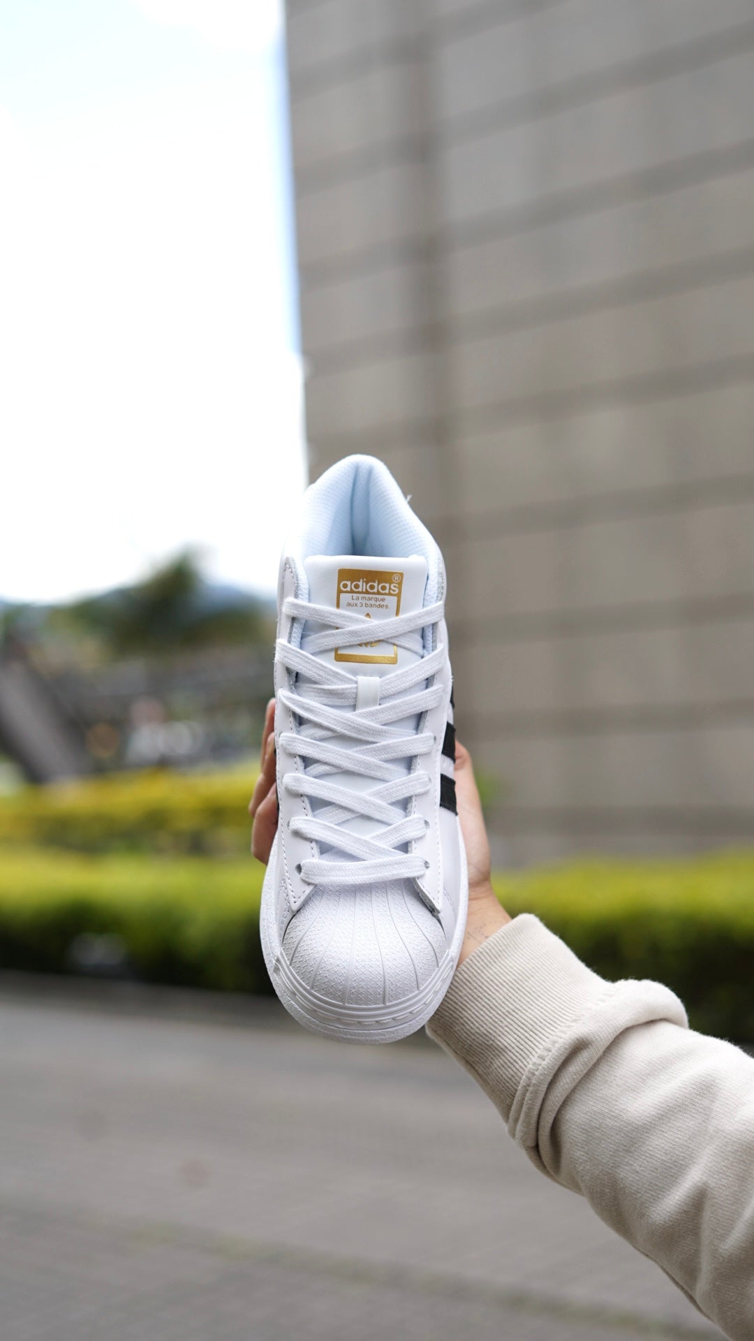 Adidas superstar en bota