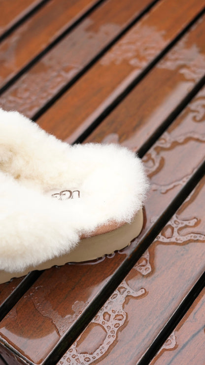 UGG disquette cafe