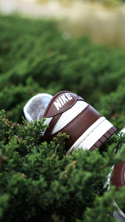 Nike sb dunk low cafe