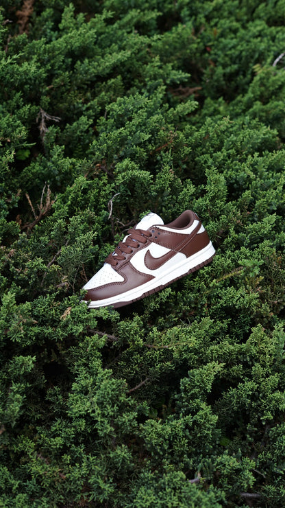 Nike sb dunk low cafe