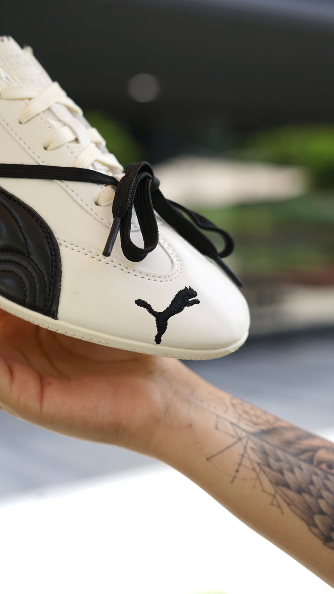 Puma speed cat rose blanca