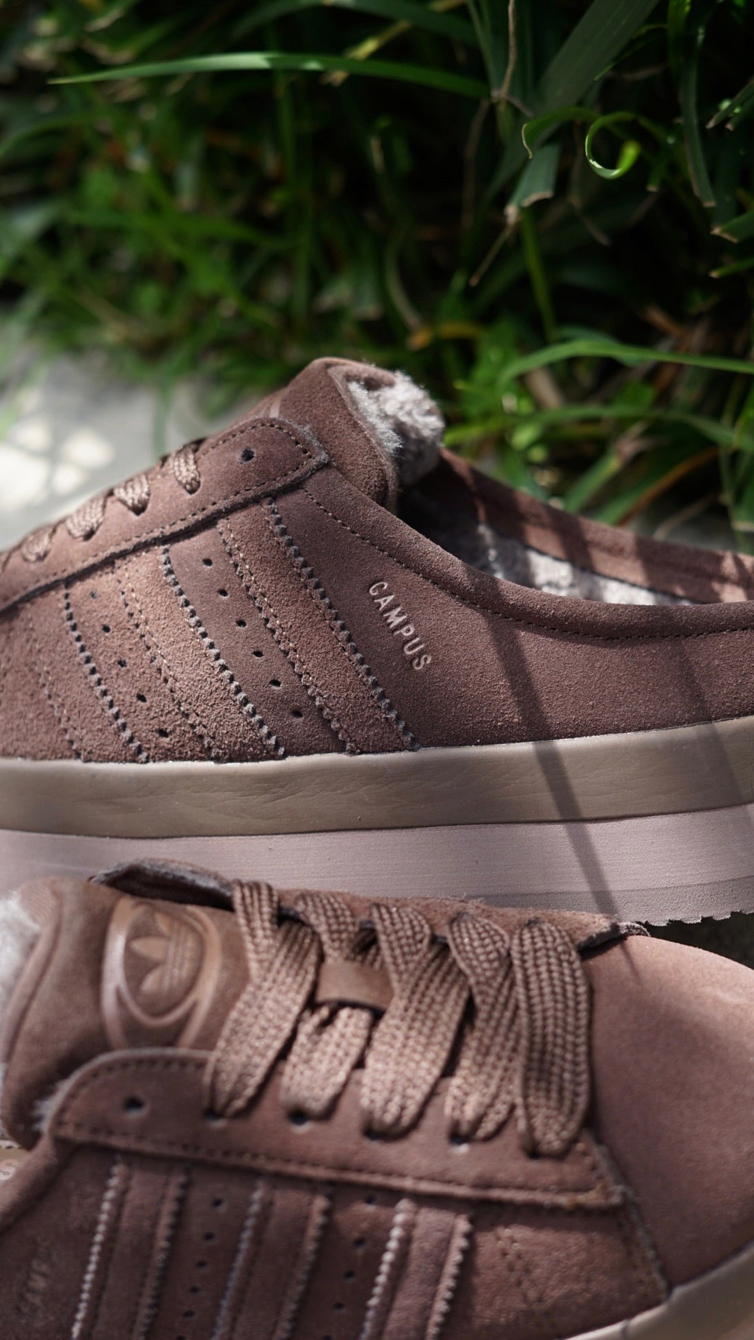 Adidas campus 00s pantuflas cafe