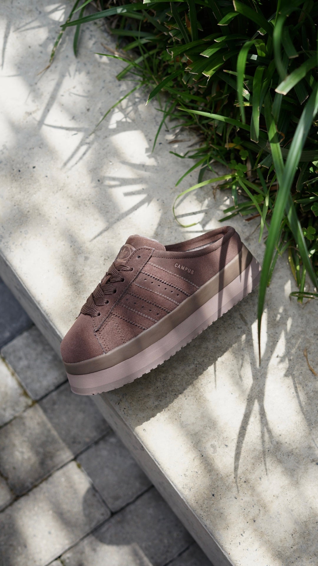 Adidas campus 00s pantuflas cafe