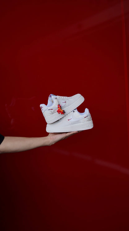 Air Force 1 Pegasus Pack