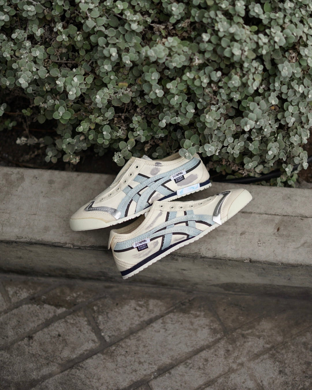 Asics onitsuka