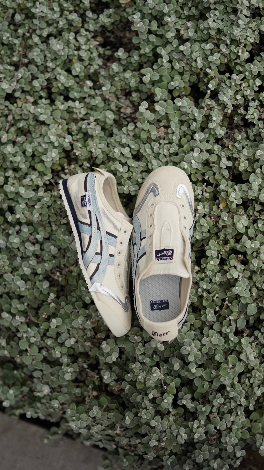 Asics onitsuka