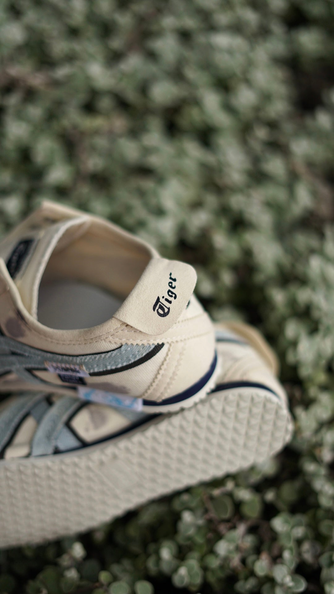 Asics onitsuka