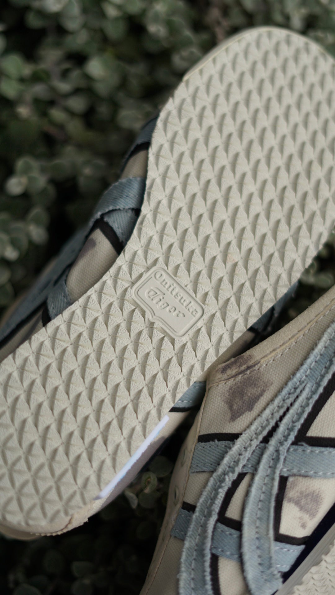 Asics onitsuka