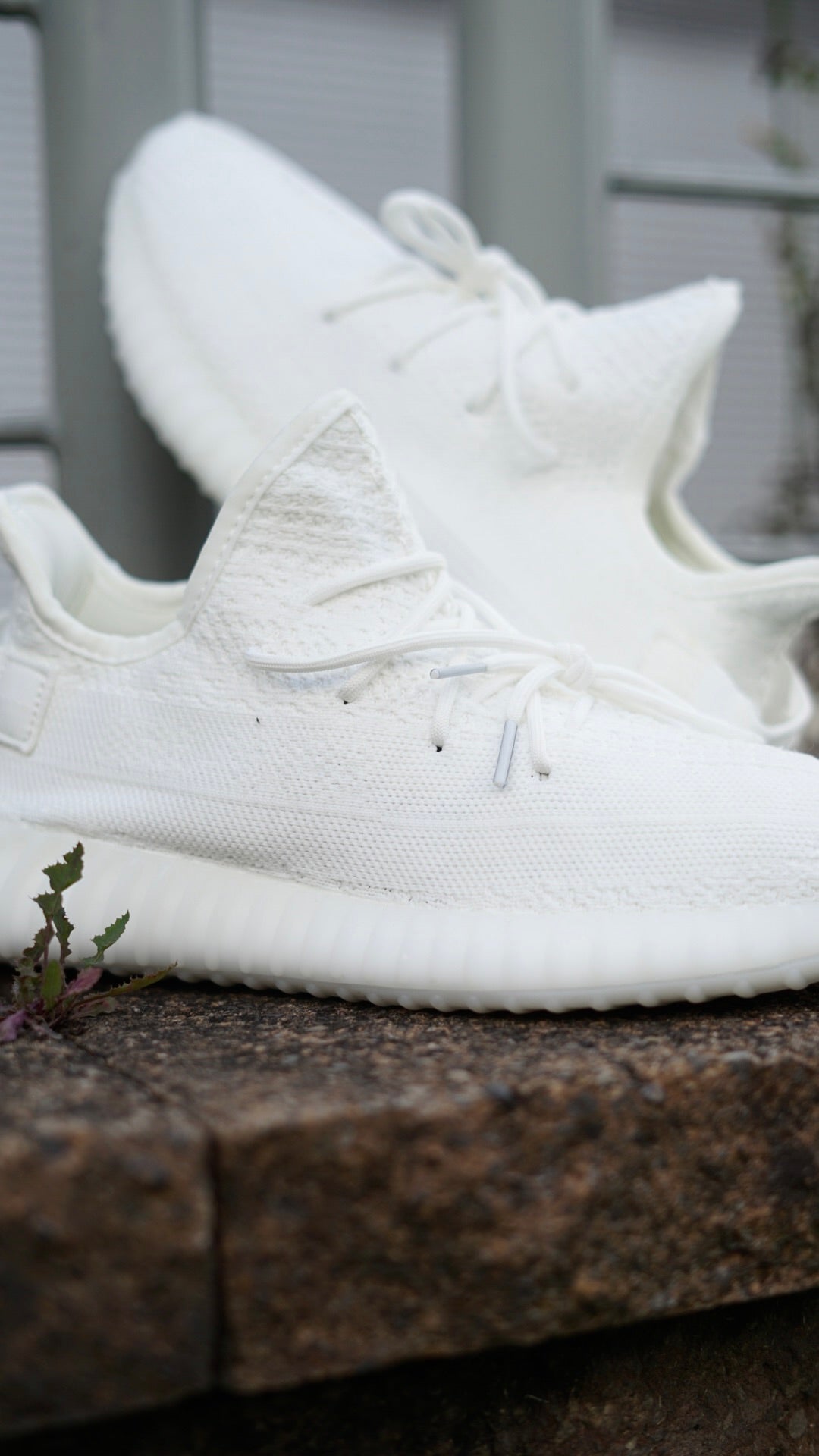 Adidas yeezy bost 350 blanca
