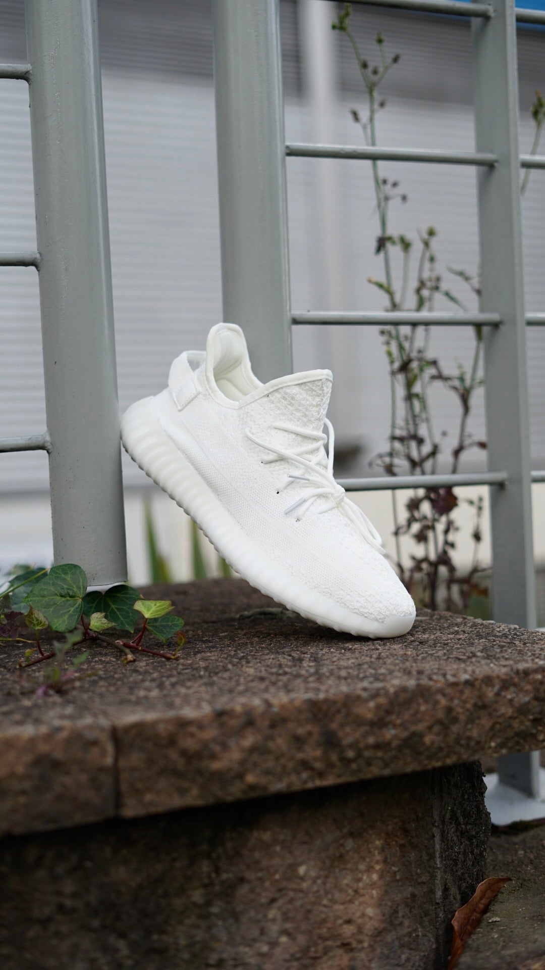 Adidas yeezy bost 350 blanca