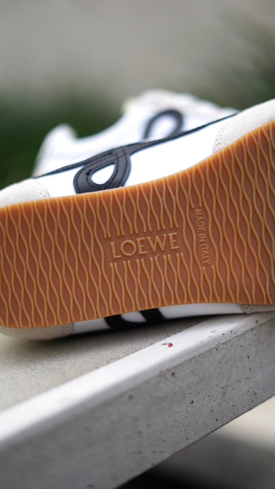 Loewe ballet blanca