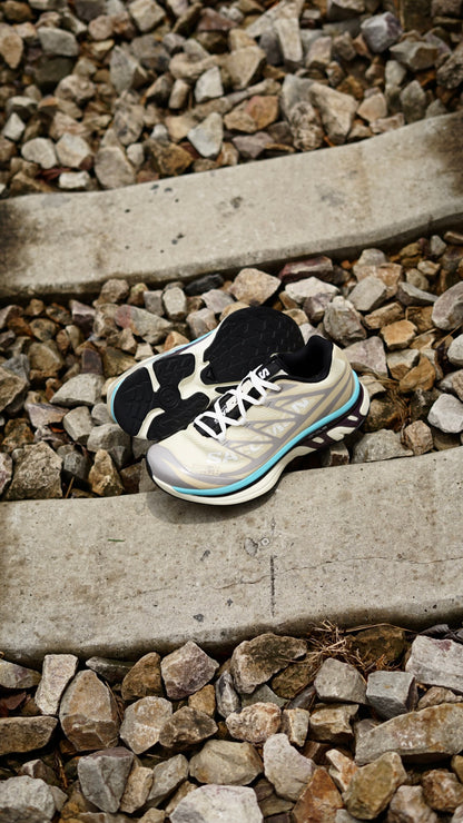 Salomon xt6 mm6