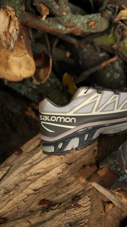 Salomon